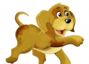 2022年运势最好的生肖要翻身猪,最有潜力的生肖是哪一个？