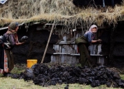 走东方运是什么意思,为什么好运都叫“走了狗屎运”？