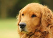 肠胃不好的人手上有哪些表现？