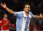 生肖蛇2022年运势大全,生肖蛇一生有着怎样的运势？