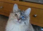 怎样给缺土缺金的男孩子起？