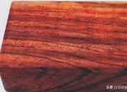 什么是属木,红木知识，什么木属于红木？