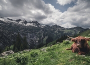 两个人合八字,三人合伙生意，八字合么？