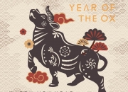 婚姻一生坎坷的生肖女有哪些？