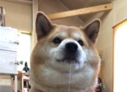 生辰八字配对合婚是怎么回事呢？