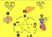五行土对应的器官,五脏、五味和五志的关系是什么？