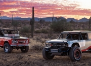 63年1月出生的会延迟退休吗？