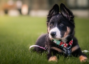 我想算一卦看今年财运,想算一下今年的财运怎么？