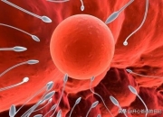 算命一生有几个孩子免费,女人一生可以最多生几个孩子？