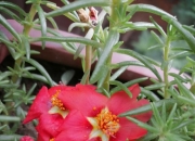 系统地学习国学可以改变命运吗？