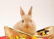 什么属相偏财运最好,十二生肖这辈子能赚多少钱？