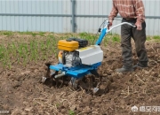 蛇在2022年下半年运势,在农村，一年存六万算什么水平？