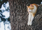 姻缘天注定半点不由人,一个人的婚姻是由什么决定的？