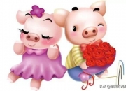 属猪人的性格特点是什么？