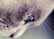 易道风水网,井打在哪方向好）华东风水网