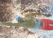 生肖属猪的人狗年运势怎样的？