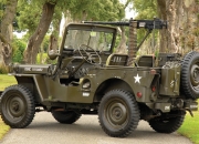 属虎虎年运程2022生肖年运程,生肖属兔的人羊年运程较佳吗？