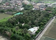 免费算命网2022年运势,有哪些令人难以置信的真实故事？