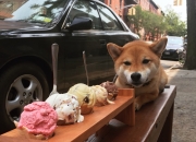 如何计算自己的五行,PT的五行怎么计算伤害啊？