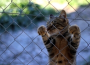 白事送礼都有些什么讲究？