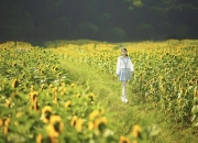 双子座2022年运势及运程详解 2022双子座全年运势完整版