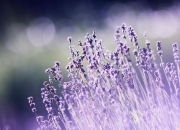 天蝎座2023年运势详解_2023天蝎座全年运势完整版