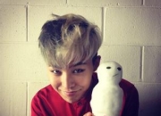 G-Dragon的出生日期_G-Dragon的生辰八字