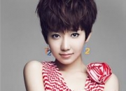 洪辰的出生日期_洪辰的生辰八字