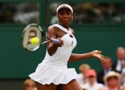 大威廉姆斯 的出生日期_ 大威廉姆斯 的生辰八字