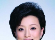 杨澜的出生日期_杨澜的生辰八字