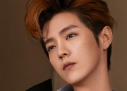 鹿晗的出生日期_鹿晗生肖属什么的？_鹿晗的生辰八字