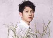 宋仲基的出生日期_宋仲基生肖属什么的？_宋仲基的生辰八字