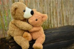 最笨的生肖是哪个生肖，12生肖哪个最笨