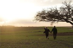 八字木旺土弱命理详解_八字木旺土弱命理详解大全