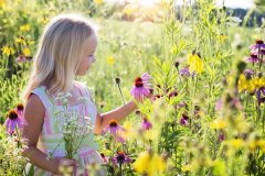 晚年守寡的5大生肖