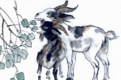 戊寅乙卯丁巳癸卯八字命理_戊寅乙卯丁巳癸卯八字命理详解