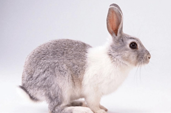 九个症状暗示老人阳寿将尽 为什么老人死前自己知道