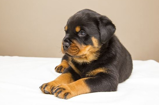 洗澡时能带翡翠吗？能带着洗澡吗