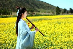 最笨的生肖是哪个生肖，12生肖哪个最笨