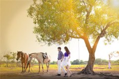 八字命硬跟出生时辰有关吗_生辰八字硬的人命好吗