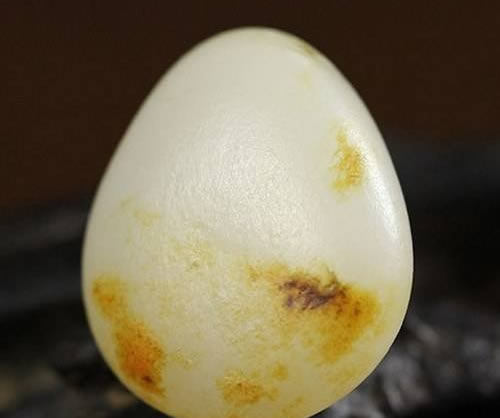 玉麒麟有破地方怎么弄 玉麒麟有什么寓意