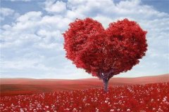 晚年守寡的5大生肖