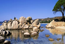 佩戴红珊瑚有什么好处和作用