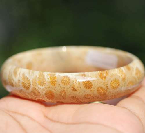 珊瑚玉是什么?珊瑚玉的产地在哪里？