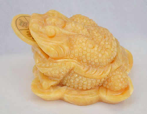 家里金蟾蜍怎么摆放