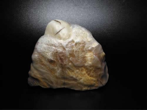 什么是蒙古玉？蒙古玉知识