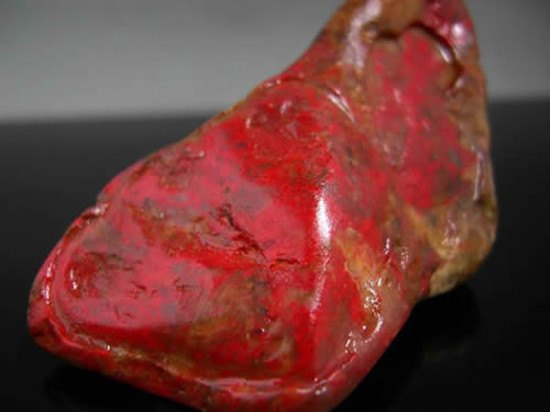 Gucn_20111101281.jpg Gucn_20111101281.jpg