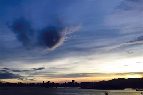 一大早看到出殡棺材，乌鸦和老鼠的征兆，好不好？