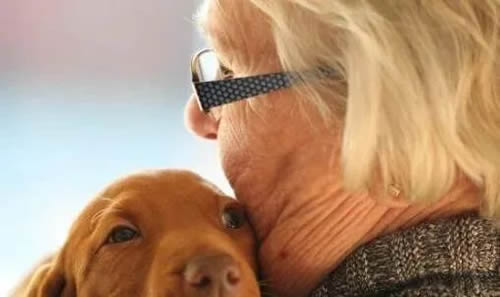 如何看一个人阳寿已尽 老人阳寿已尽的10种表现和征兆