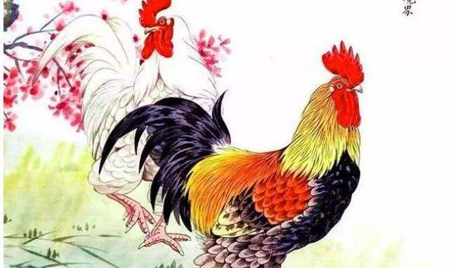 属鸡出生最好六个吉日 生肖鸡最小几岁